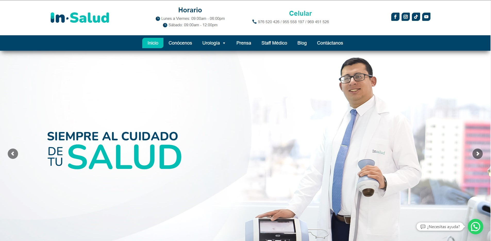 insalud diseno web agencia scrabble peru